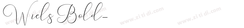 Wiels Bold字体转换